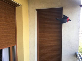 Aranytölgy színű aluredőny – Budapest XIII. kerület